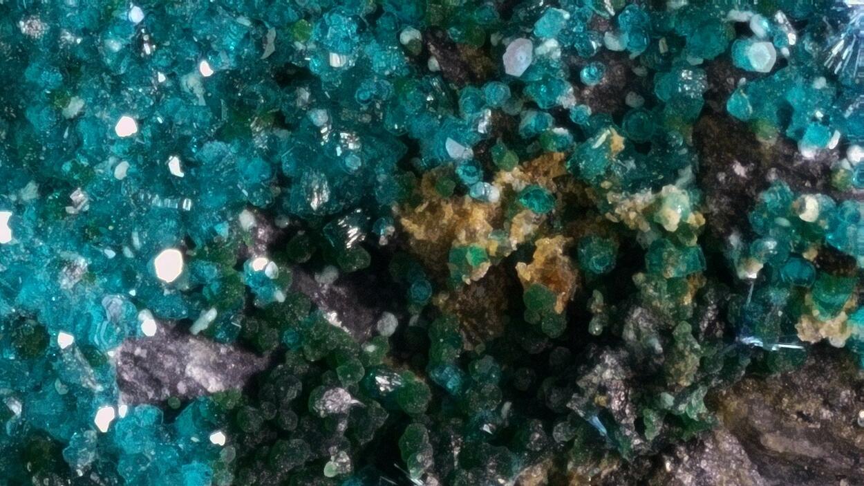 Spangolite Paratacamite & Cyanotrichite