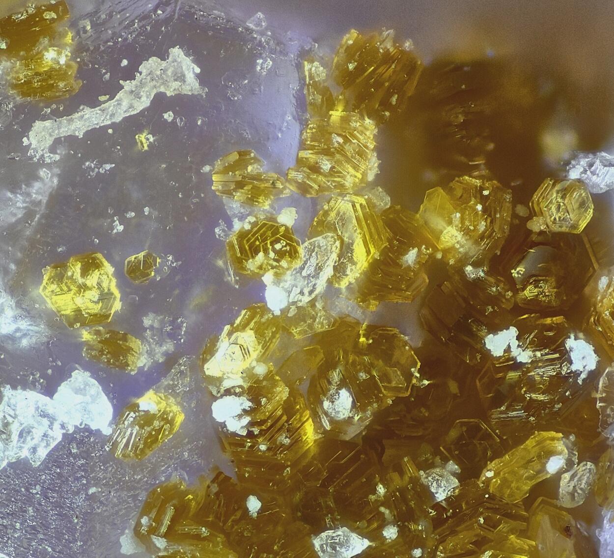 Metavoltine & Coquimbite