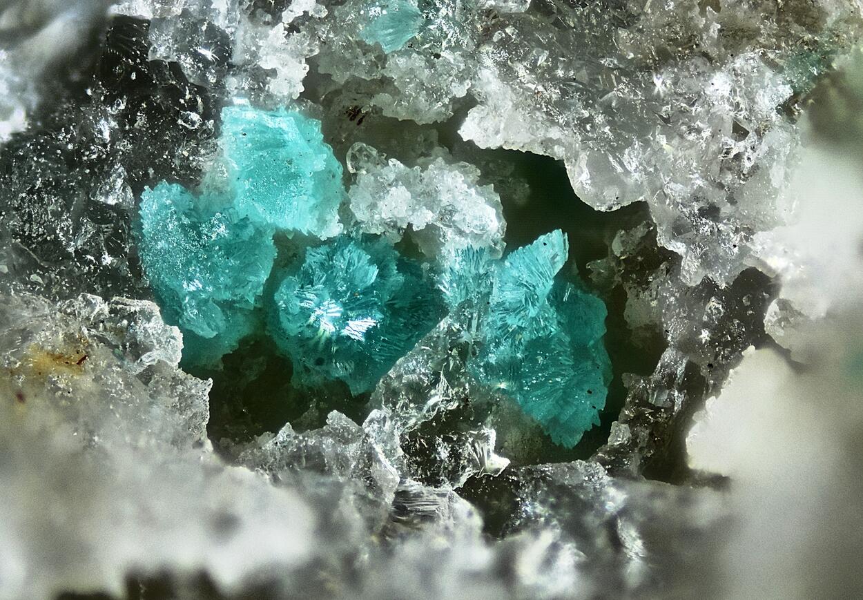 Turquoise