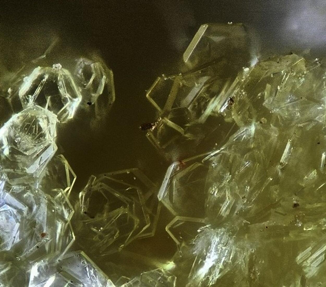 Slavíkite & Pickeringite