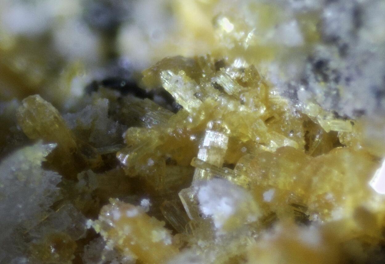 Parabutlerite
