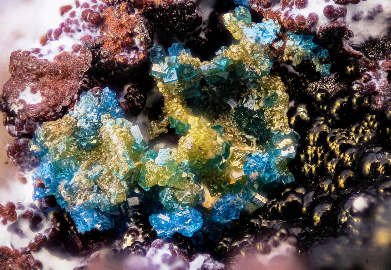 Boleite & Chlorargyrite