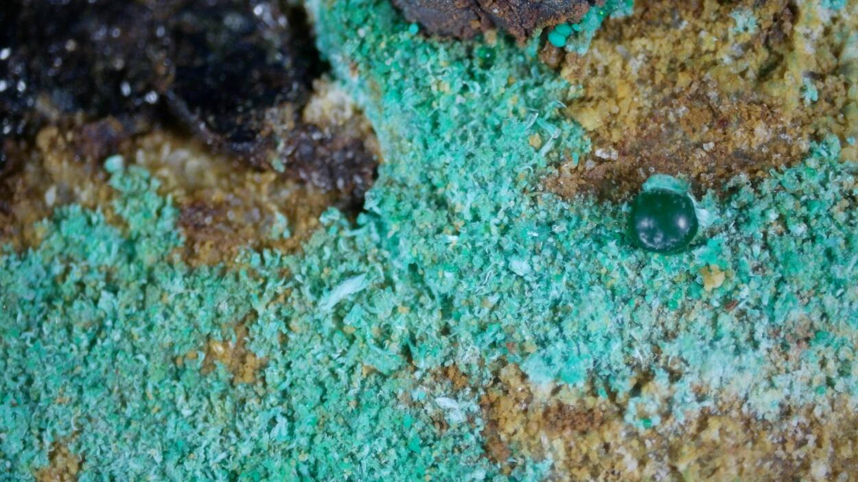 Leucochalcite Cornwallite