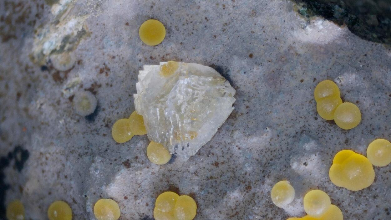 Faujasite-Na Phillipsite-K