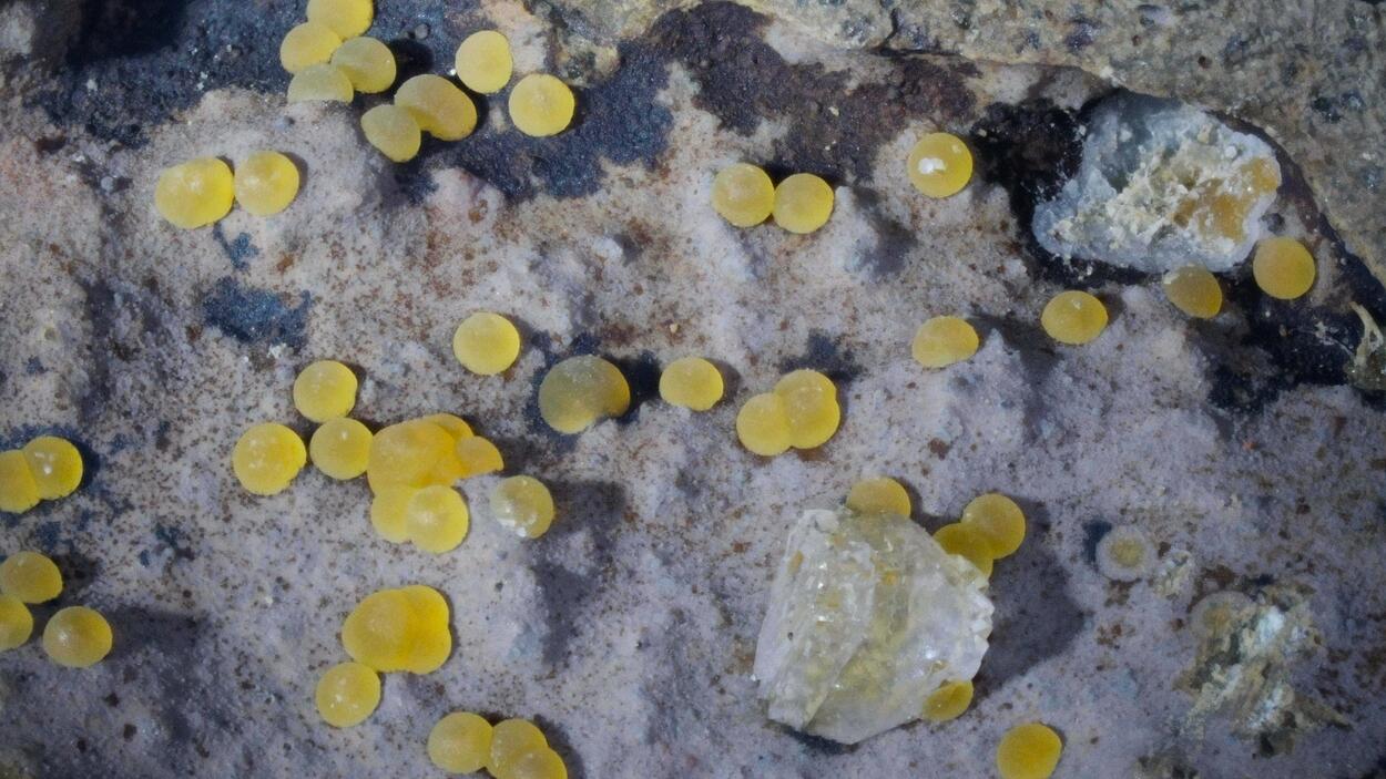 Faujasite-Na Phillipsite-K