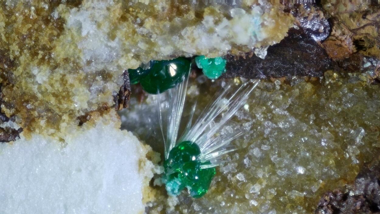 Leucochalcite Cornwallite