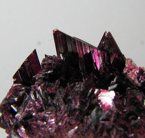 Erythrite