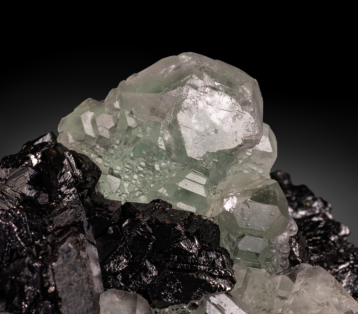 Fluorite & Sphalerite