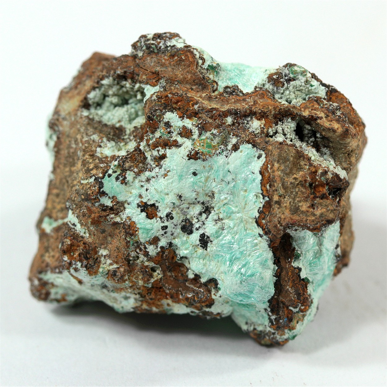 Aurichalcite With Azurite