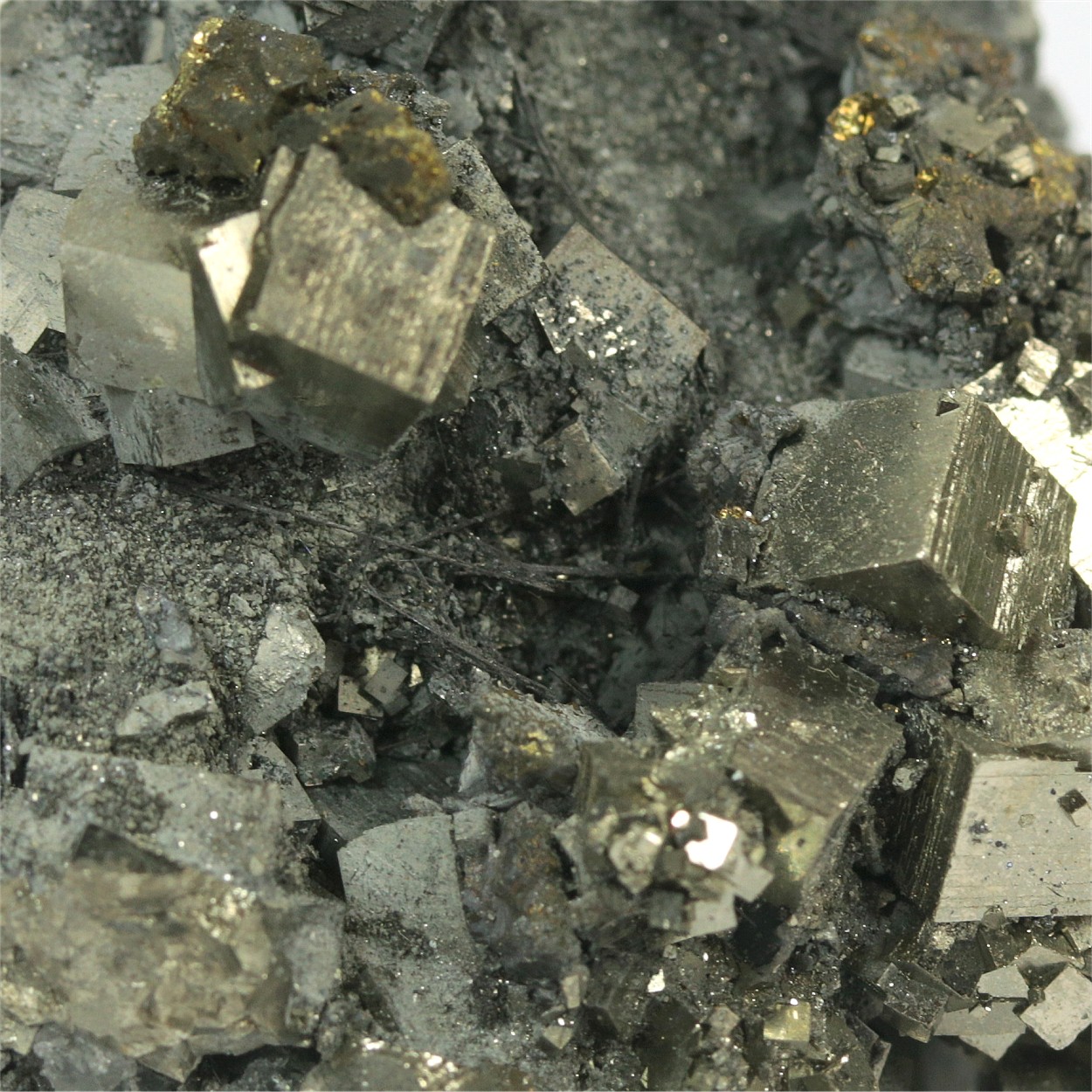 Cosalite With Pyrite & Fluorite