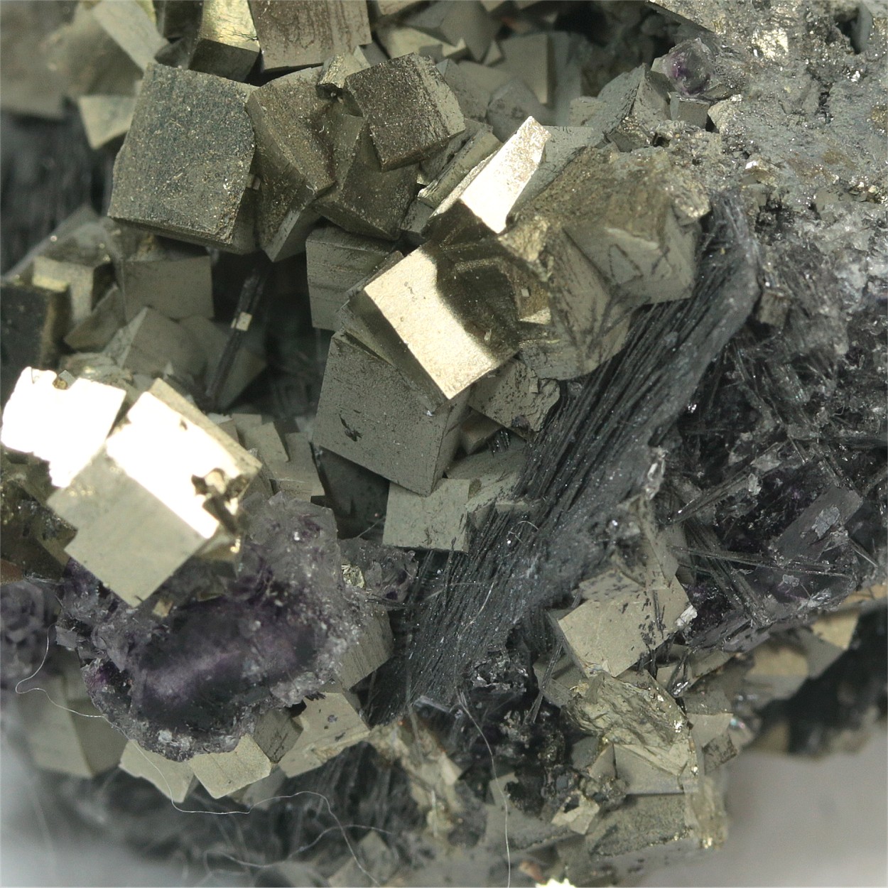 Cosalite With Pyrite & Fluorite