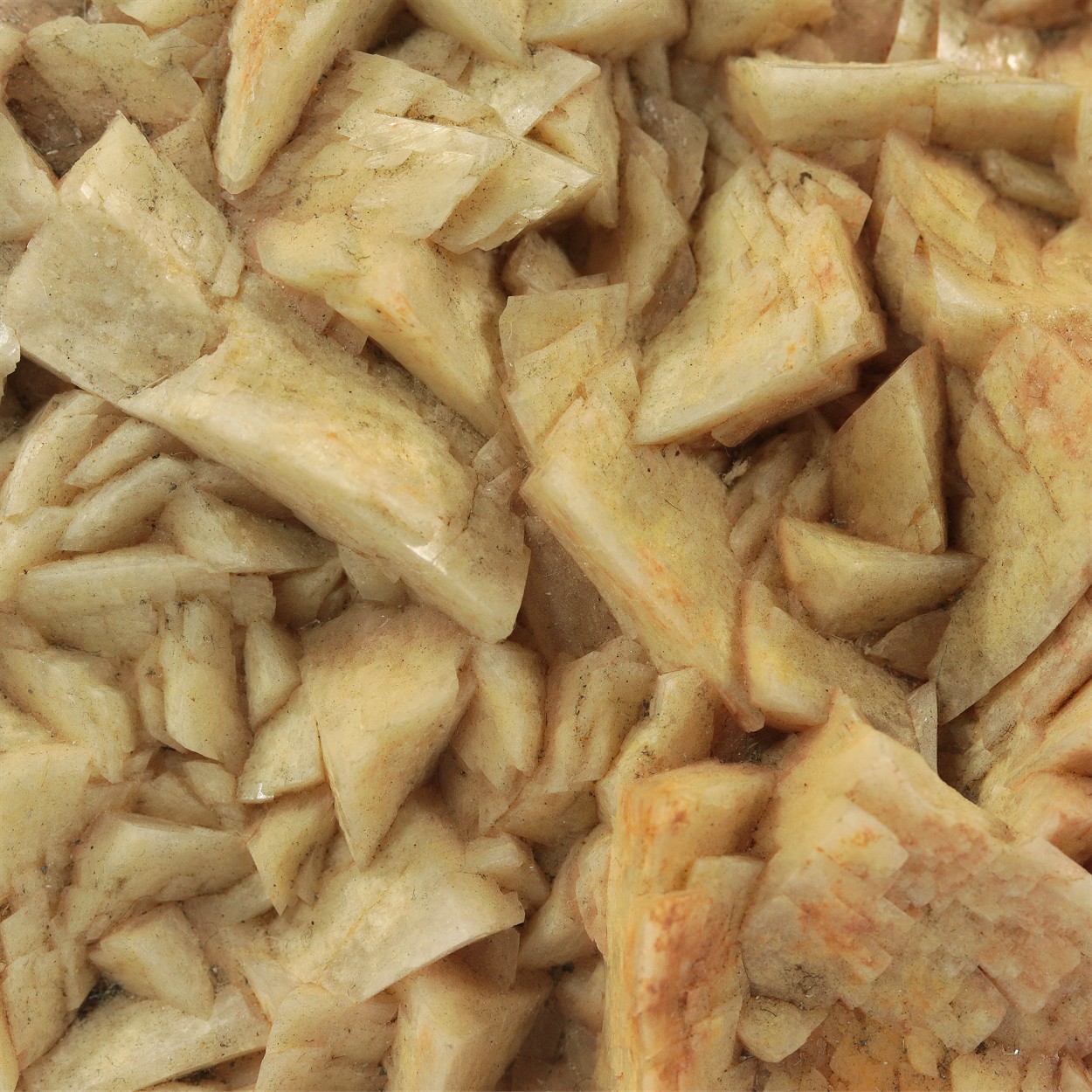 Orthoclase Var Paradoxite