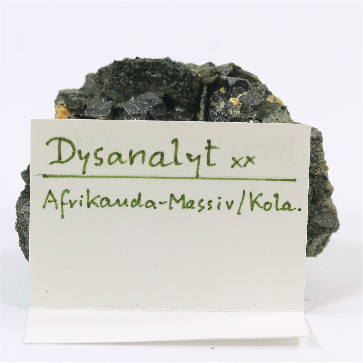 Perovskite Var Dysanalyte With Diopside