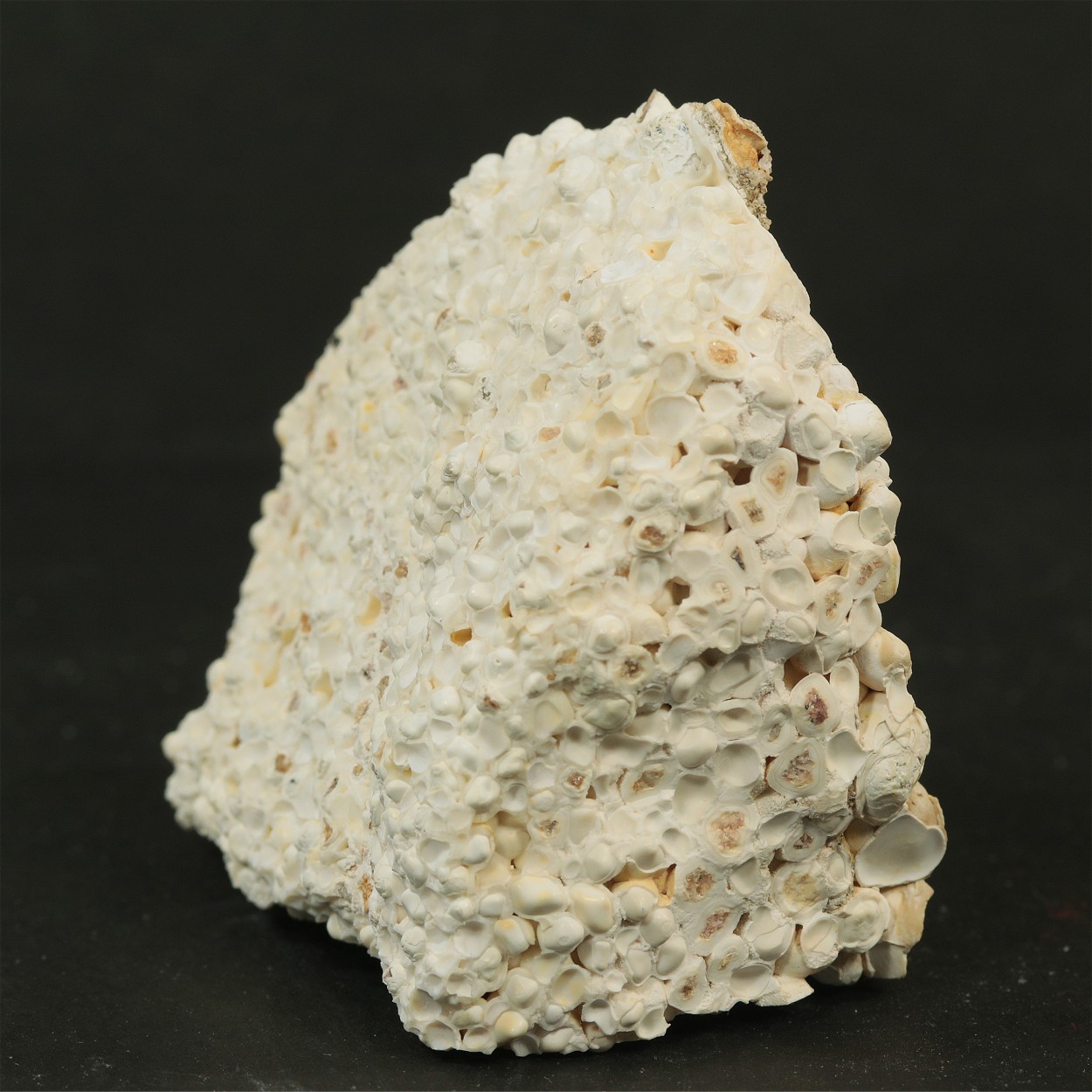 Aragonite Var Erbsenstein