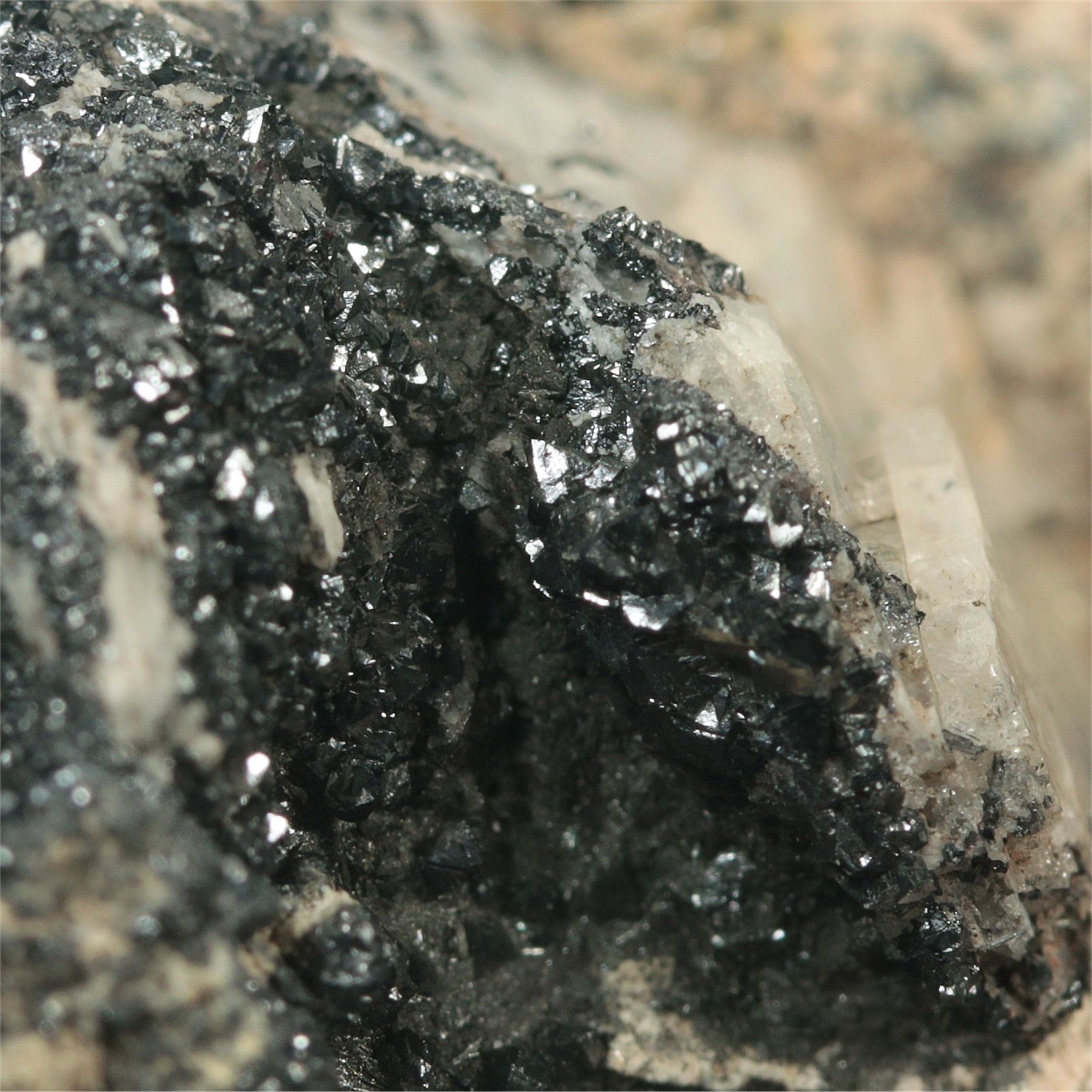 Braunite With Baryte