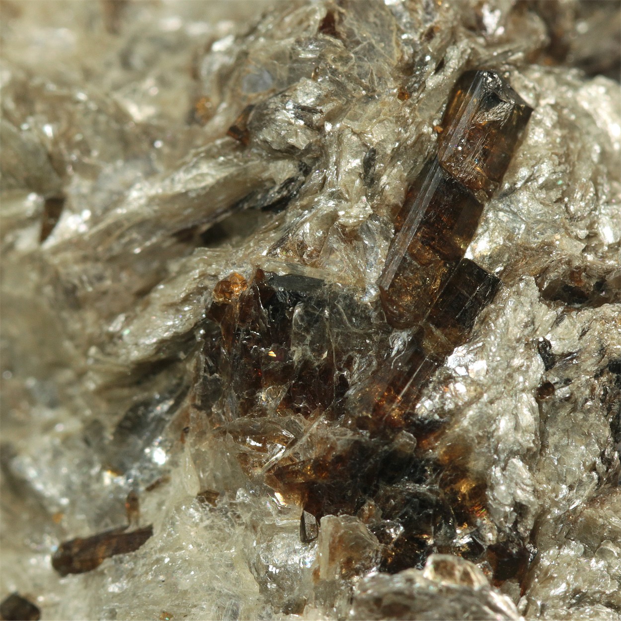 Tourmaline Var Dravite With Paragonite
