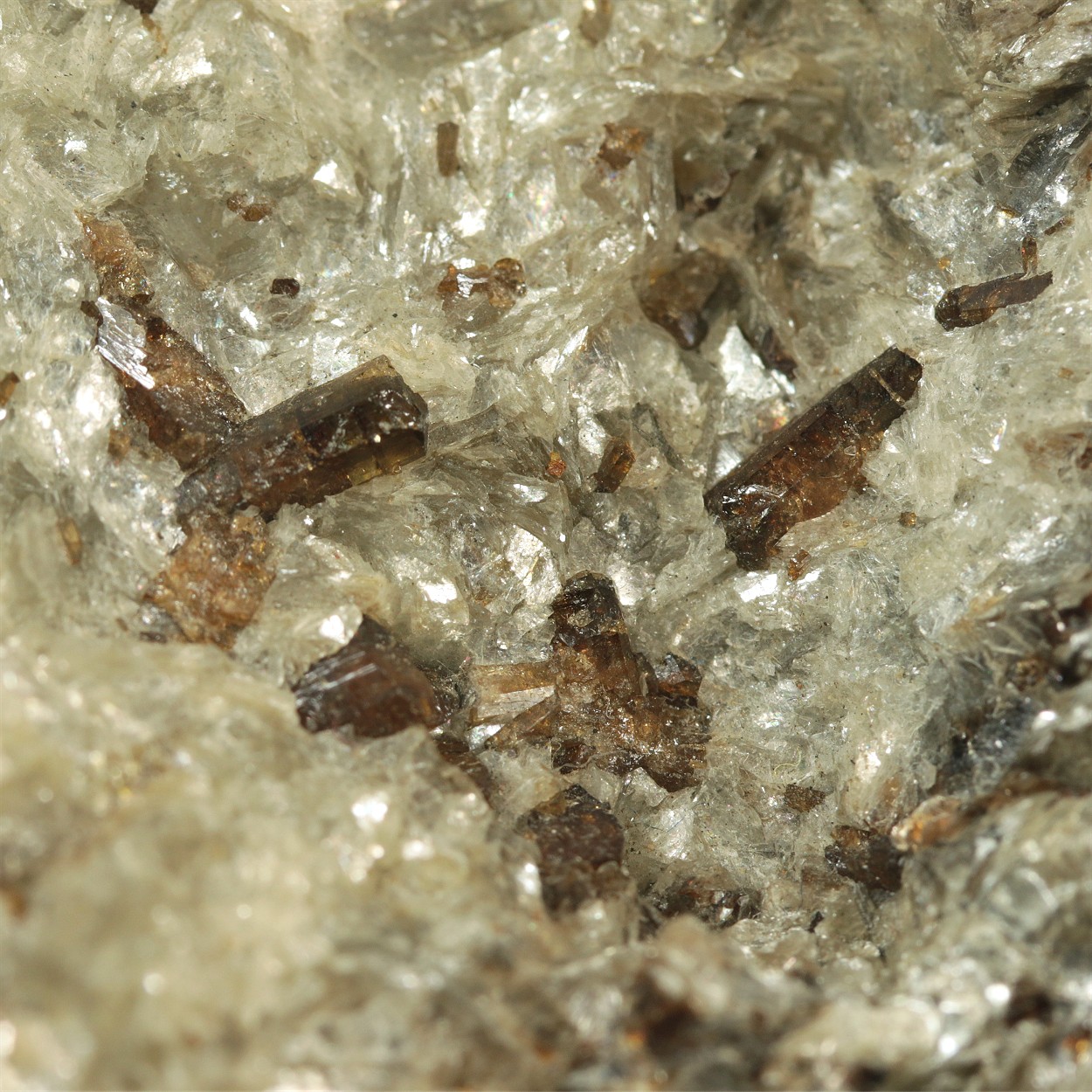 Tourmaline Var Dravite With Paragonite