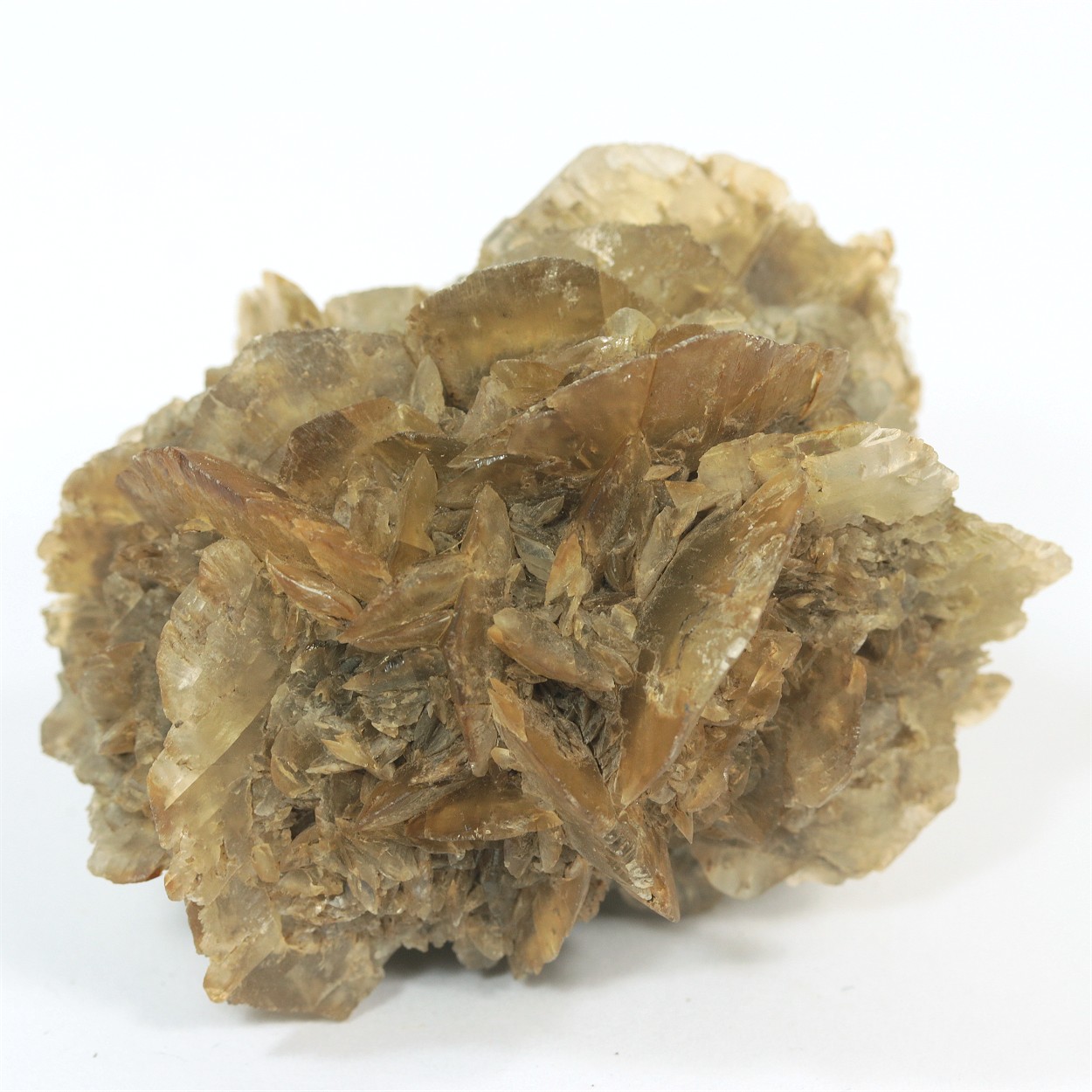 Gypsum
