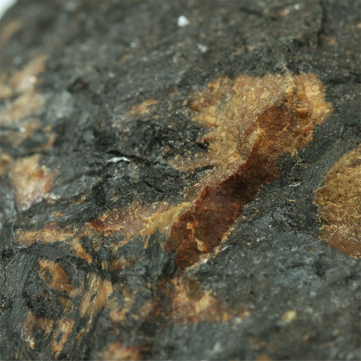 Bustamite With Sphalerite