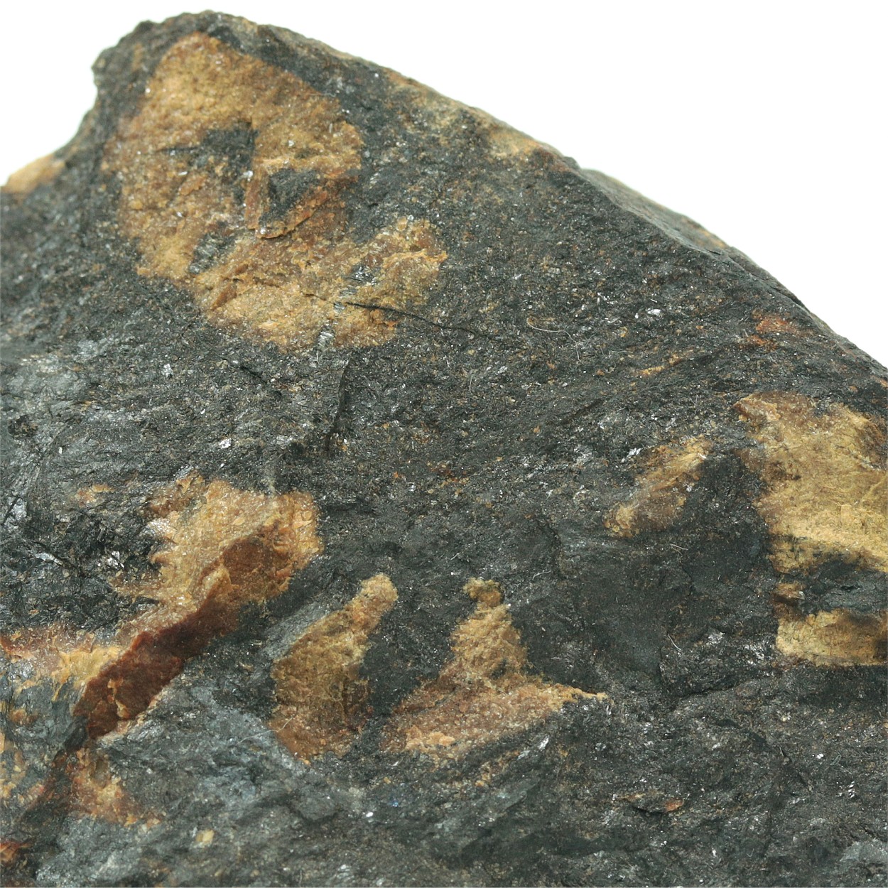 Bustamite With Sphalerite