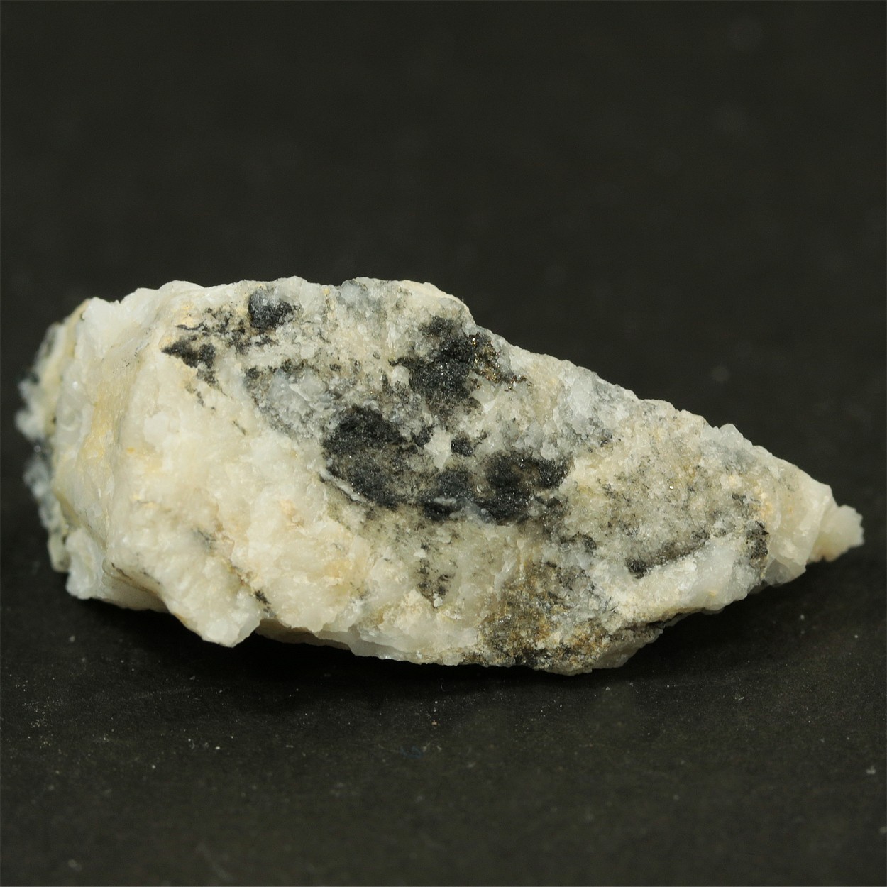 Native Gold With Pyrite & Galena