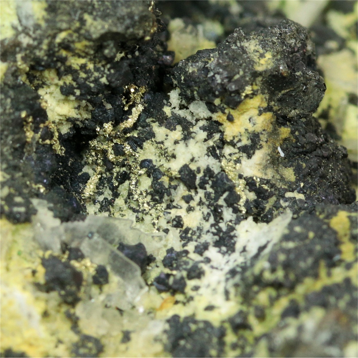 Native Gold Var Electrum With Covellite Pyrite Baryte Quartz & Chalcopyrite