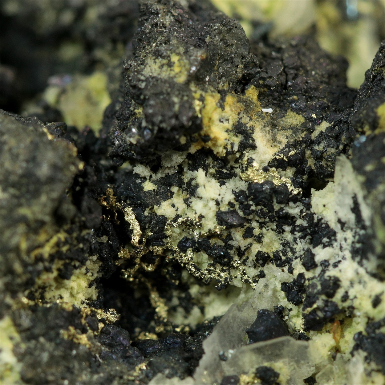 Native Gold Var Electrum With Covellite Pyrite Baryte Quartz & Chalcopyrite