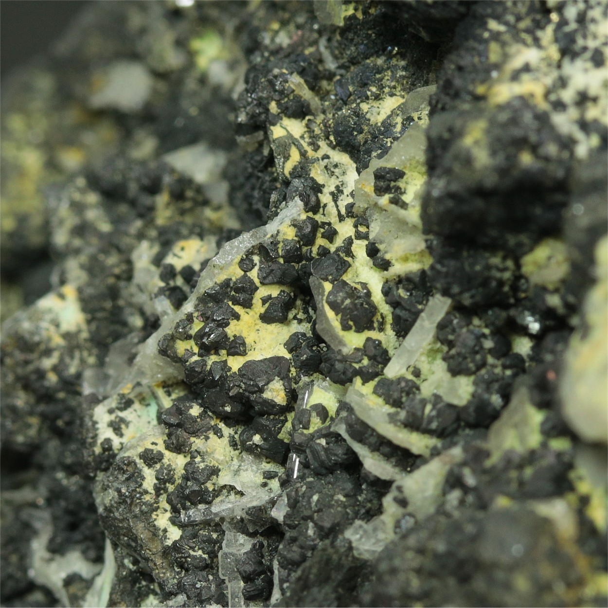 Native Gold Var Electrum With Covellite Pyrite Baryte Quartz & Chalcopyrite