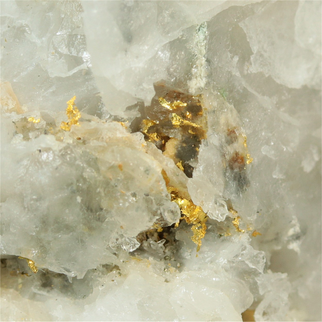 Native Gold With Pyrite