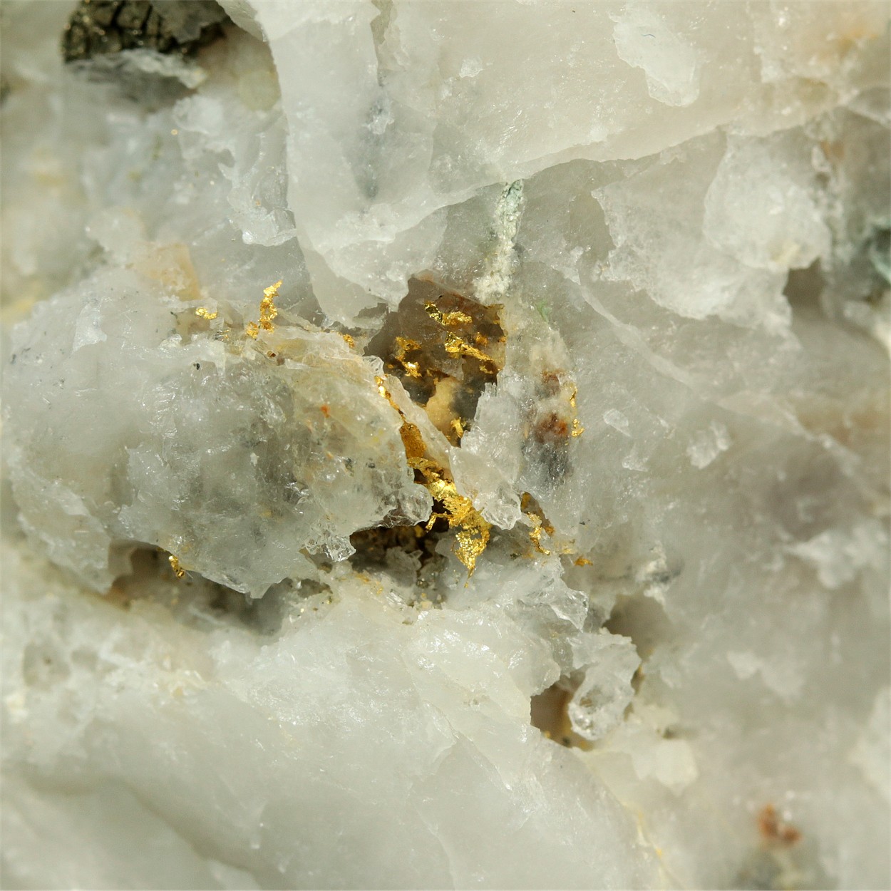 Native Gold With Pyrite