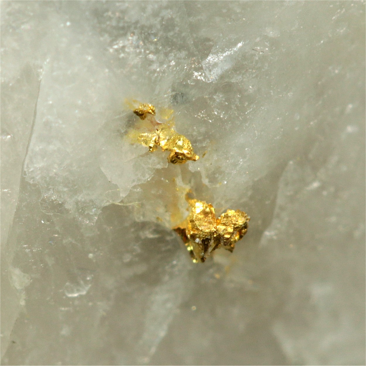 Native Gold With Pyrite