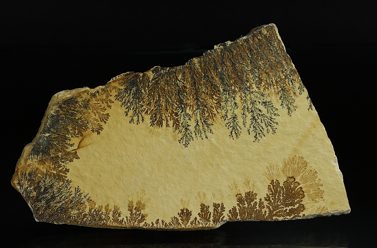 Manganese Oxides On Limestone