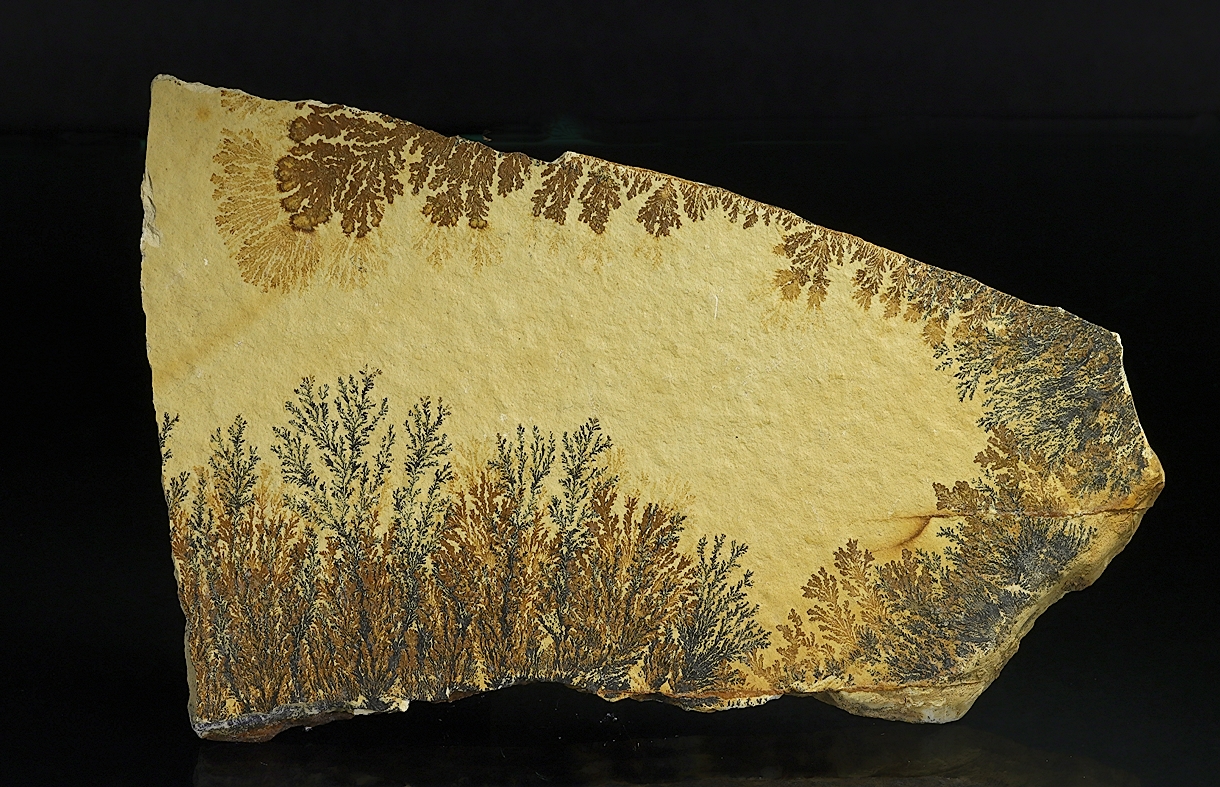 Manganese Oxides On Limestone