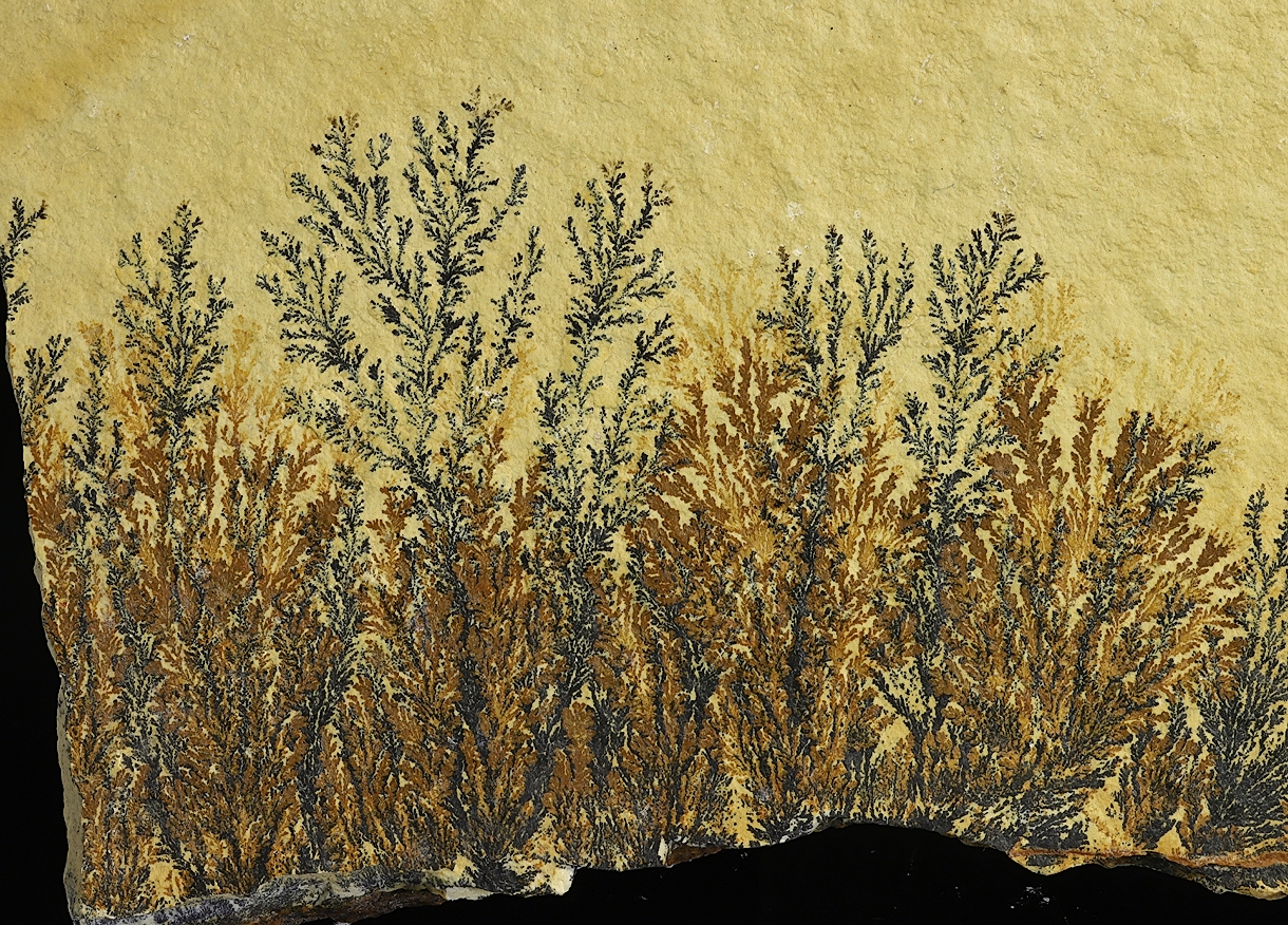 Manganese Oxides On Limestone