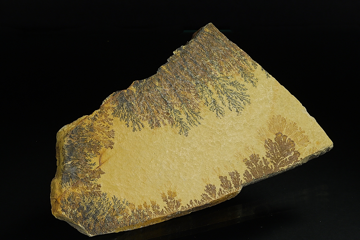 Manganese Oxides On Limestone