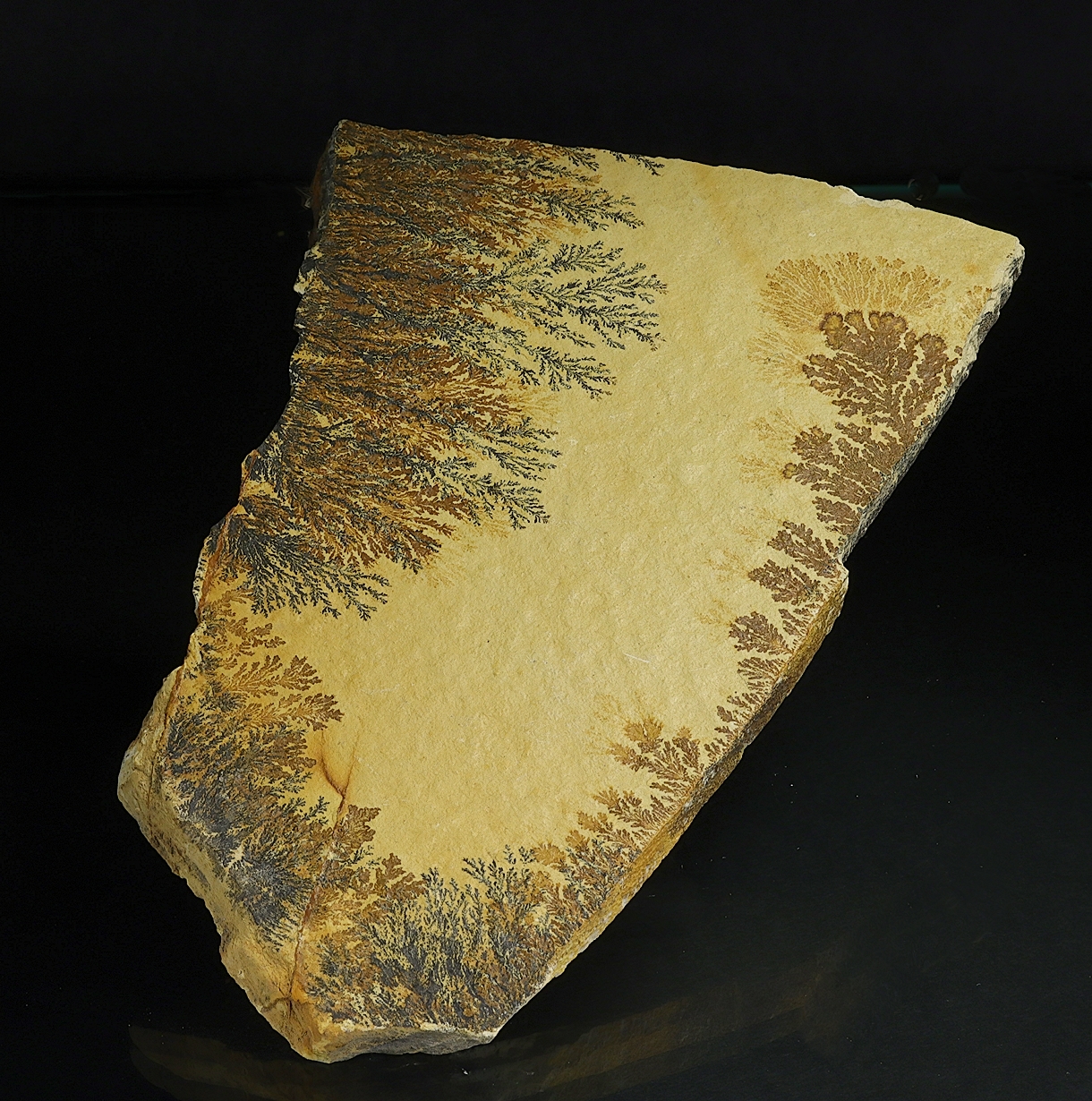 Manganese Oxides On Limestone