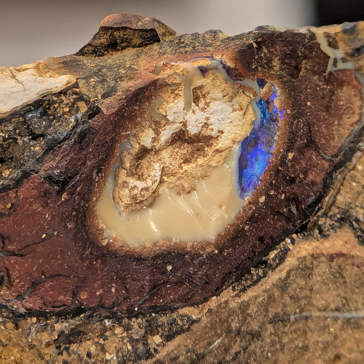 Boulder Opal