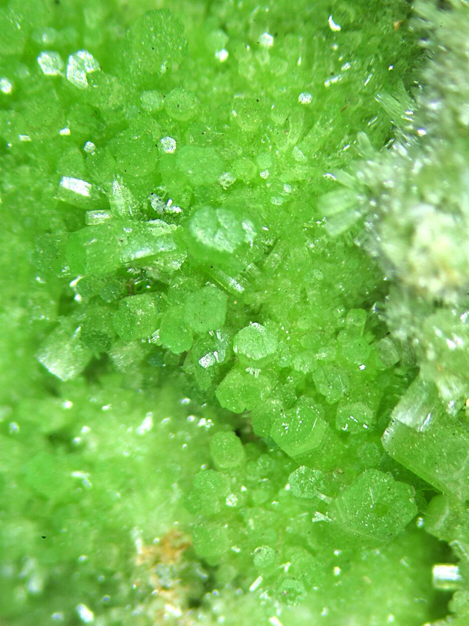 Pyromorphite