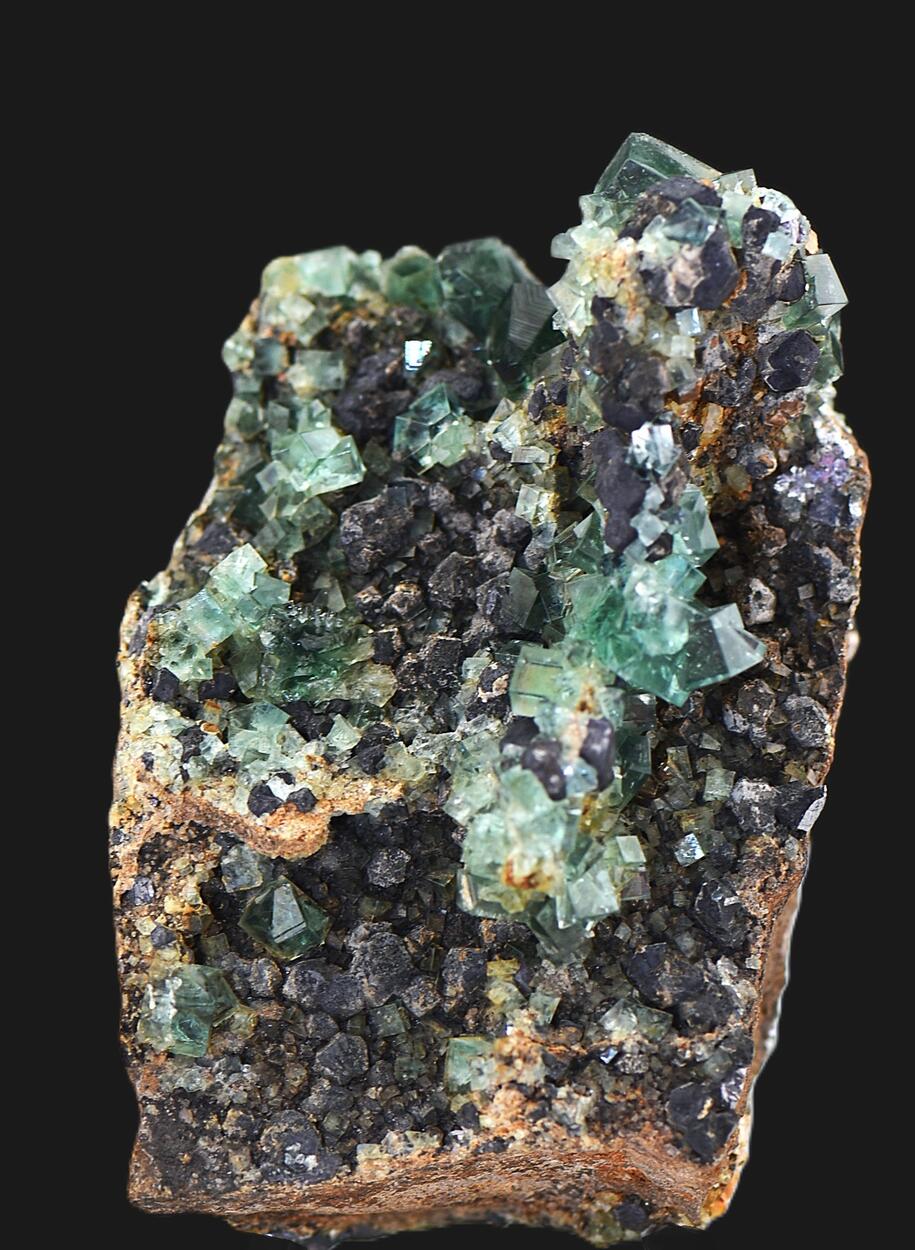 Fluorite & Galena