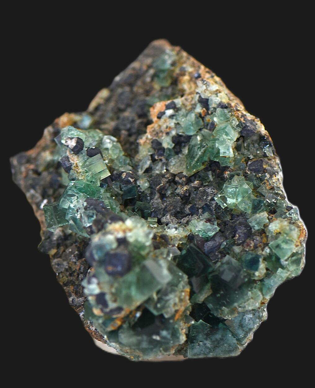 Fluorite & Galena