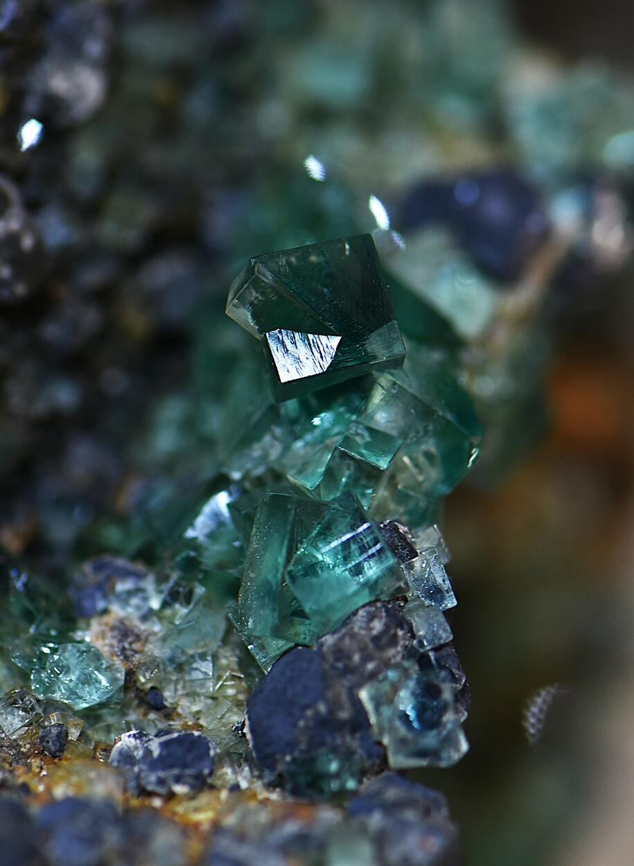 Fluorite & Galena