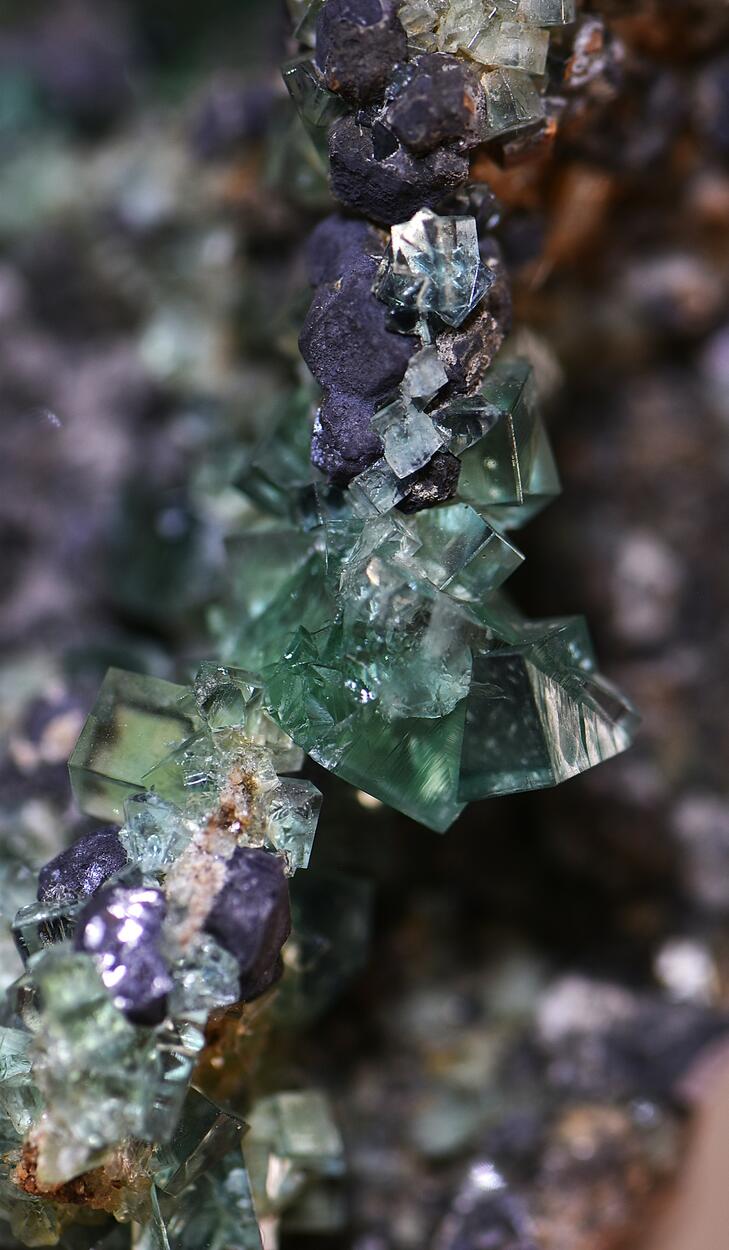 Fluorite & Galena