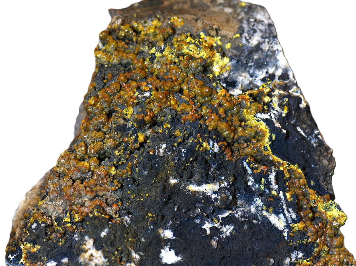 Campylite