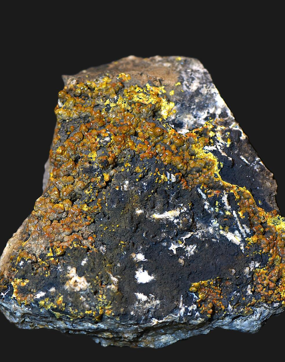 Campylite