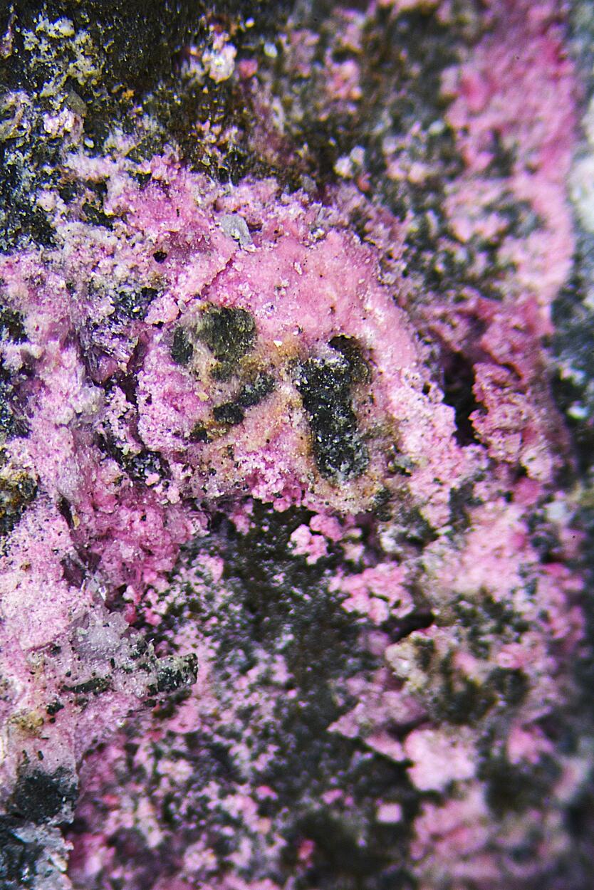 Erythrite