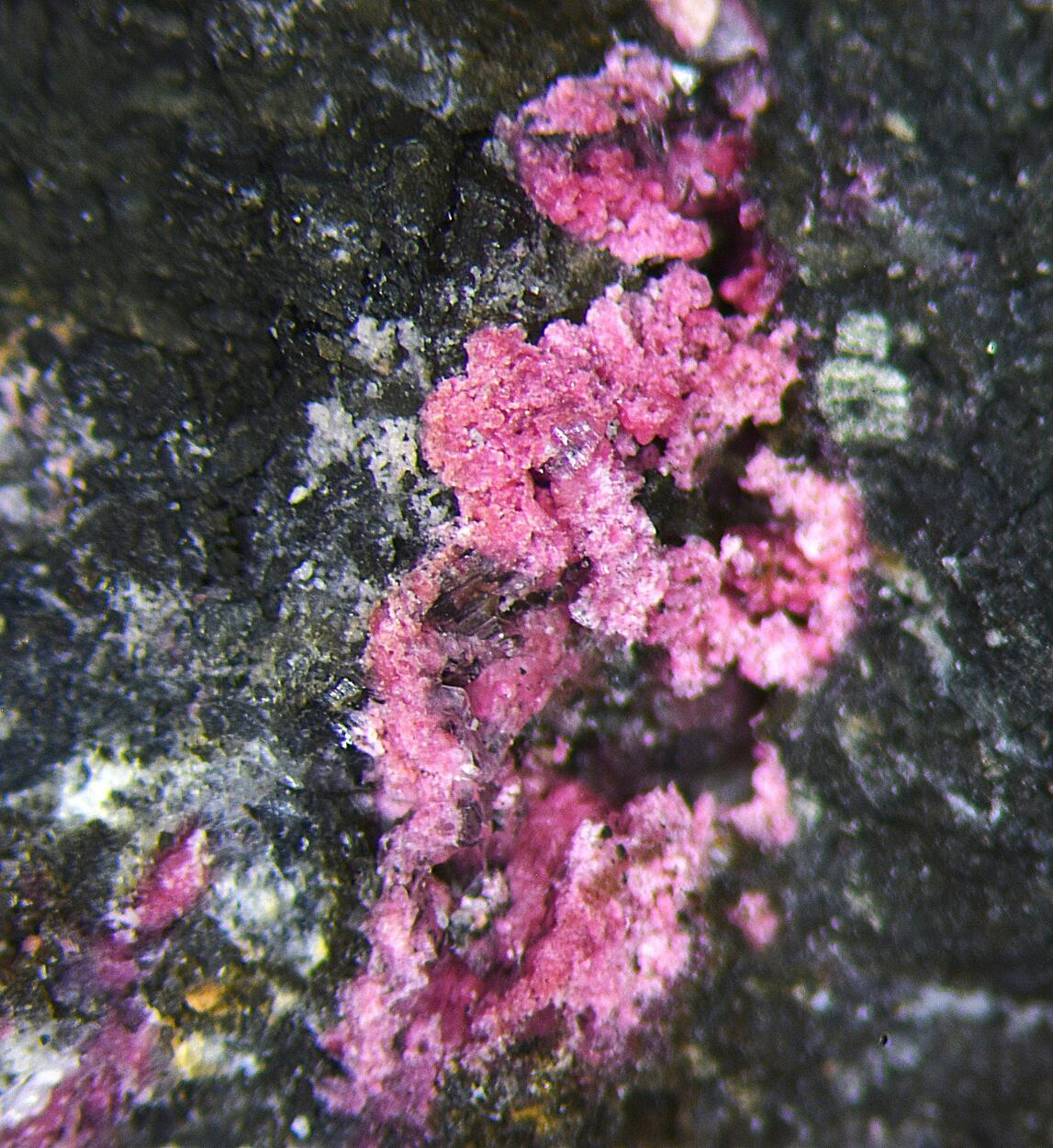 Erythrite