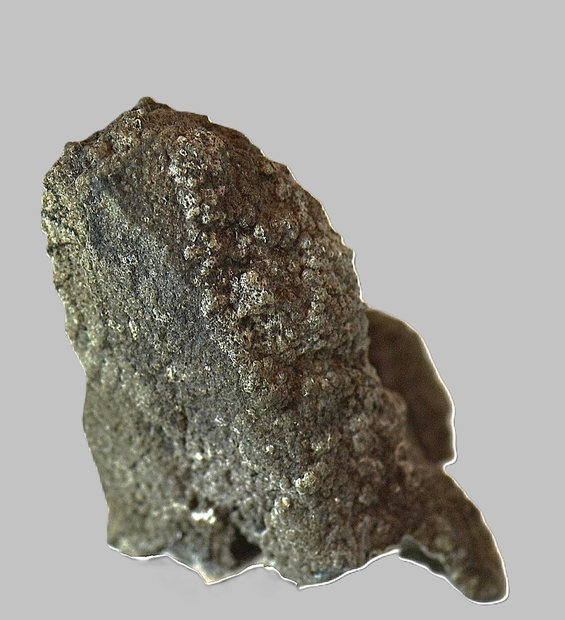 Chamosite Psm Axinite