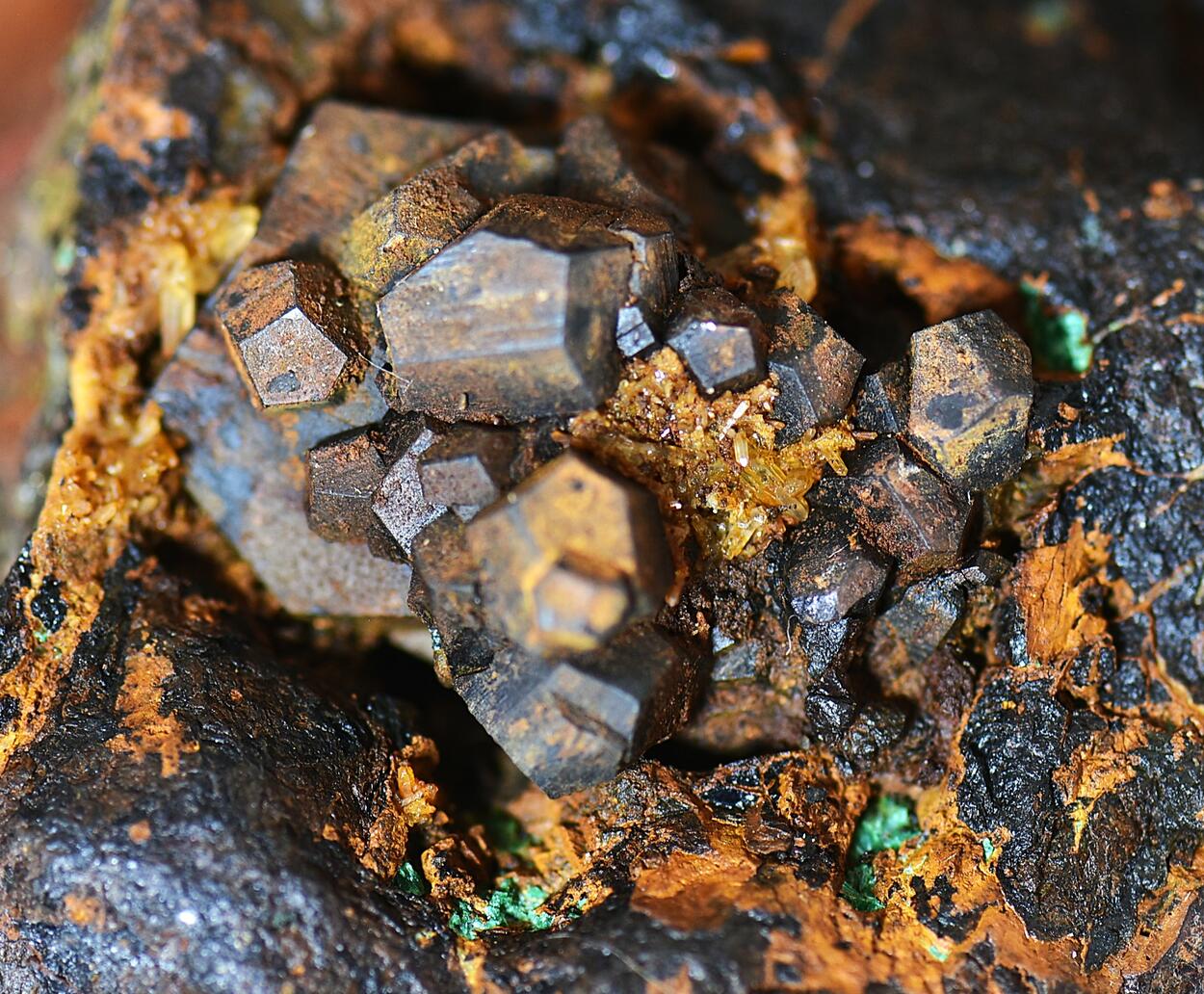 Pyrite & Chalcopyrite