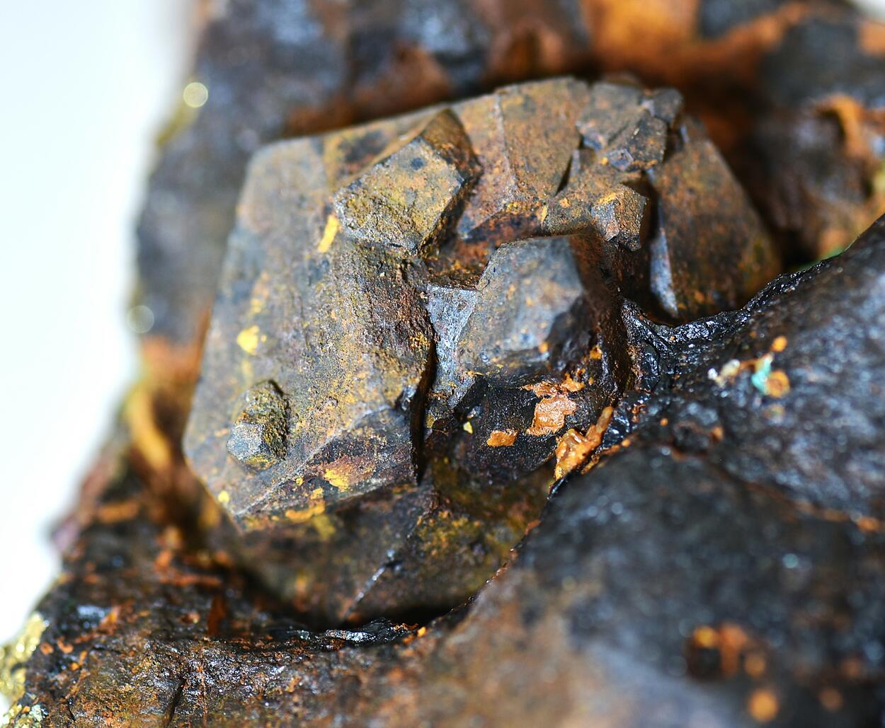 Pyrite & Chalcopyrite