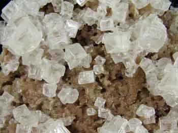 Burkeite With Halite